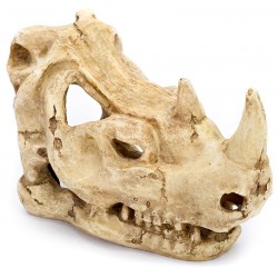 Skull - Rhino (Penn-Plax)