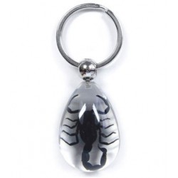 Keychain - Black Scorpion (Clear - Teardrop)