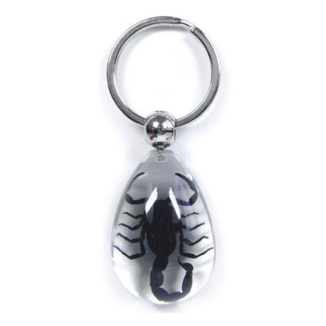 Keychain - Black Scorpion