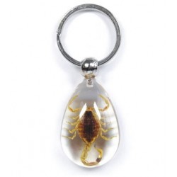 Keychain - Yellow Scorpion