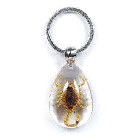 Keychain - Yellow Scorpion