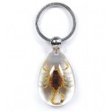 Keychain - Yellow Scorpion (Clear - Teardrop)