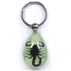 Keychain - Black Scorpion (Glow-in-the-dark)