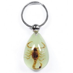 Keychain - Yellow Scorpion (Glow - Teardrop)