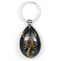 Keychain - Yellow Scorpion (Black - Teardrop)