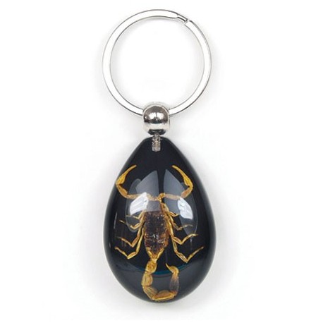 Keychain - Yellow Scorpion (Black)