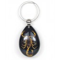 Keychain - Yellow Scorpion (Black - Teardrop)