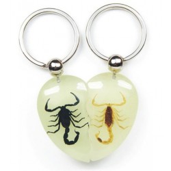 Keychain - Black & Yellow Scorpion (Glow - Heart Set)