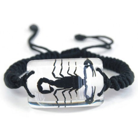 Bracelet - Black Scorpion (Clear)