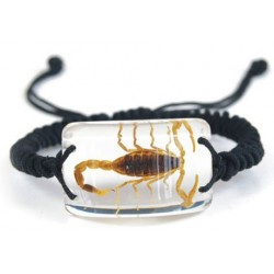 Bracelet - Yellow Scorpion (Clear)
