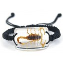 Bracelet - Yellow Scorpion (Clear - Rectangle)
