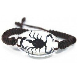 Bracelet - Black Scorpion (Clear - Oval)