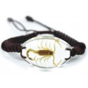Bracelet - Yellow Scorpion (Clear - Oval)