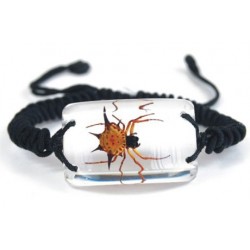 Bracelet - Spiny Spider (Clear - Rectangle)