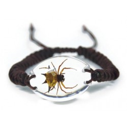 Bracelet - Spiny Spider (Clear)