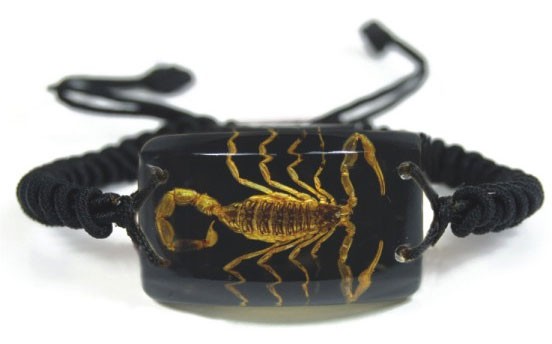 Wholesale Scorpion Bracelet