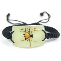 Bracelet - Spiny Spider (Glow - Rectangle)