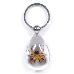 Keychain - Spiny Spider (Clear)