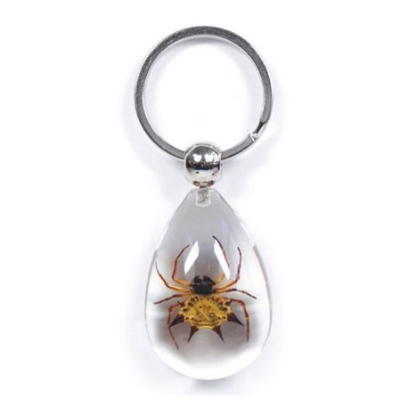 Keychain - Spiny Spider (Clear)