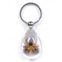 Keychain - Spiny Spider (Clear - Teardrop)