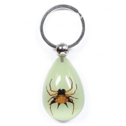 Keychain - Spiny Spider (Glow - Teardrop)