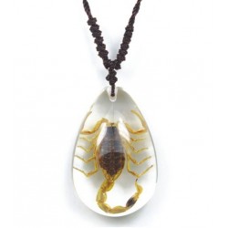 Necklace - Yellow Scorpion (Clear - Teardrop)