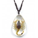 Necklace - Yellow Scorpion (Clear - Teardrop)