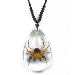 Necklace - Spiny Spider (Clear - Teardrop)