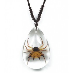 Necklace - Spiny Spider (Clear)