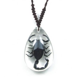 Necklace - Black Scorpion (Clear - Teardrop)