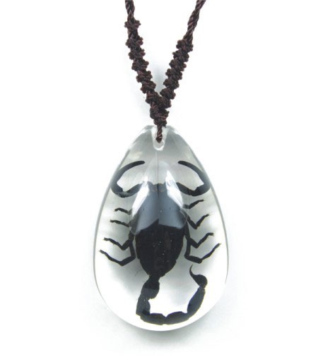 Buy Real Scorpion Glow in the Dark Necklace Online in India - Etsy
