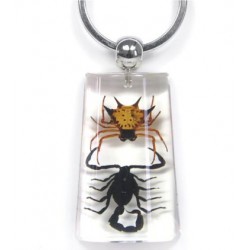 Keychain - Scorpion vs. Spider (Clear)