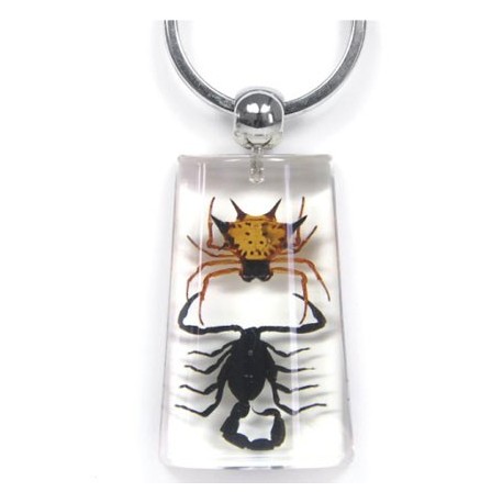 Keychain - Scorpion vs. Spider (Clear)