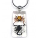 Keychain - Scorpion vs. Spider (Clear - Rectangle)