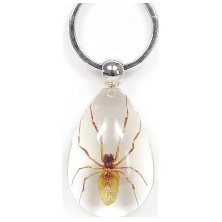 Keychain - Brown Recluse Spider (Clear)