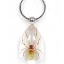 Keychain - Brown Recluse Spider (Clear - Teardrop)