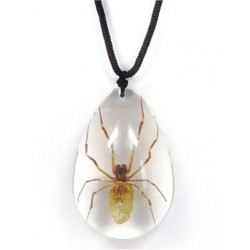 Necklace - Brown Recluse Spider (Clear - Teardrop)