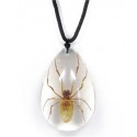 Necklace - Brown Recluse Spider (Clear - Teardrop)