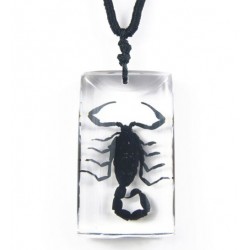 Necklace - Black Scorpion (Clear)