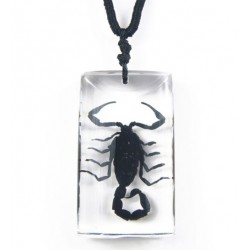 Necklace - Black Scorpion (Clear - Rectangle)