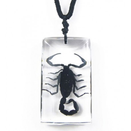 Necklace - Black Scorpion (Clear)