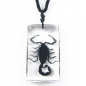 Necklace - Black Scorpion (Clear - Rectangle)