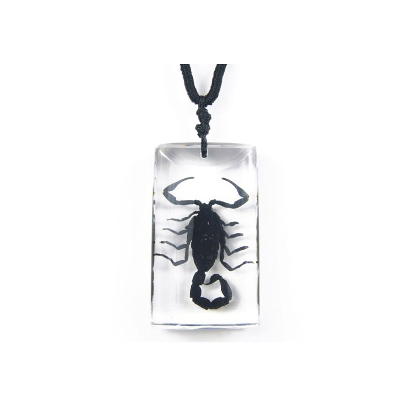 2 NEW Scorpion in Amber Necklaces - general for sale - by owner - craigslist
