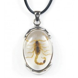 Necklace - Yellow Scorpion (Clear - Metal)