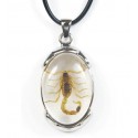 Necklace - Yellow Scorpion (Clear - Metal)