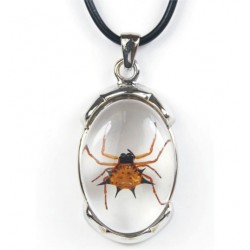 Necklace - Spiny Spider (Clear - Metal)