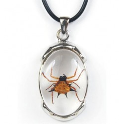 Necklace - Spiny Spider (Clear)