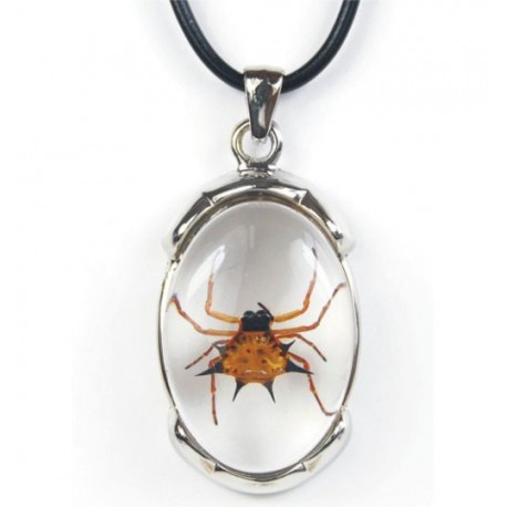 Necklace - Spiny Spider (Clear)