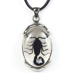 Necklace - Black Scorpion (Clear - Metal)