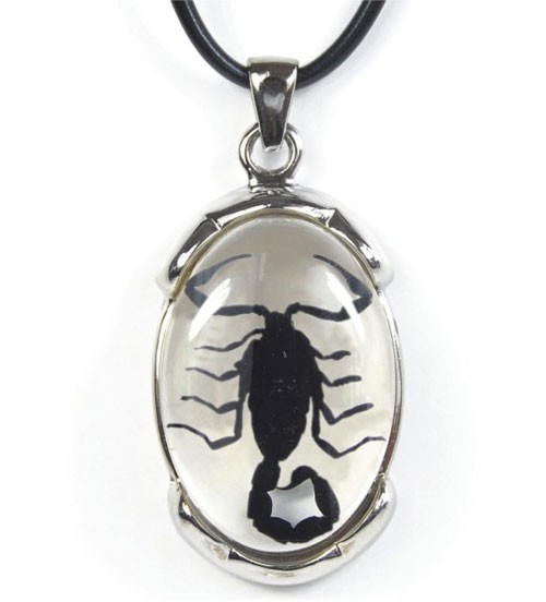 GLOW IN THE DARK REAL SCORPION ADJUSTABLE NECKLACE (Sold by the piece –  Novelties Company